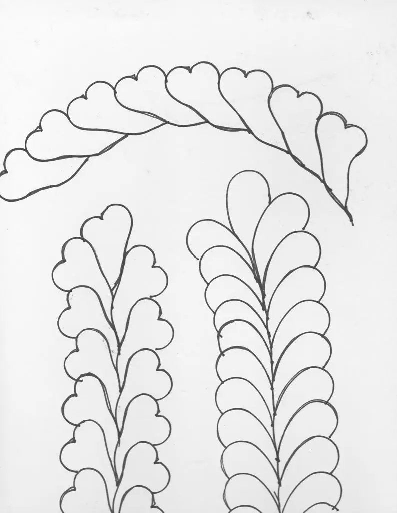 Feather Curve Quilting Ruler