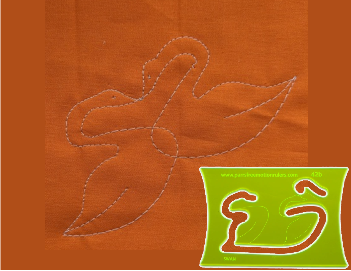 Swan