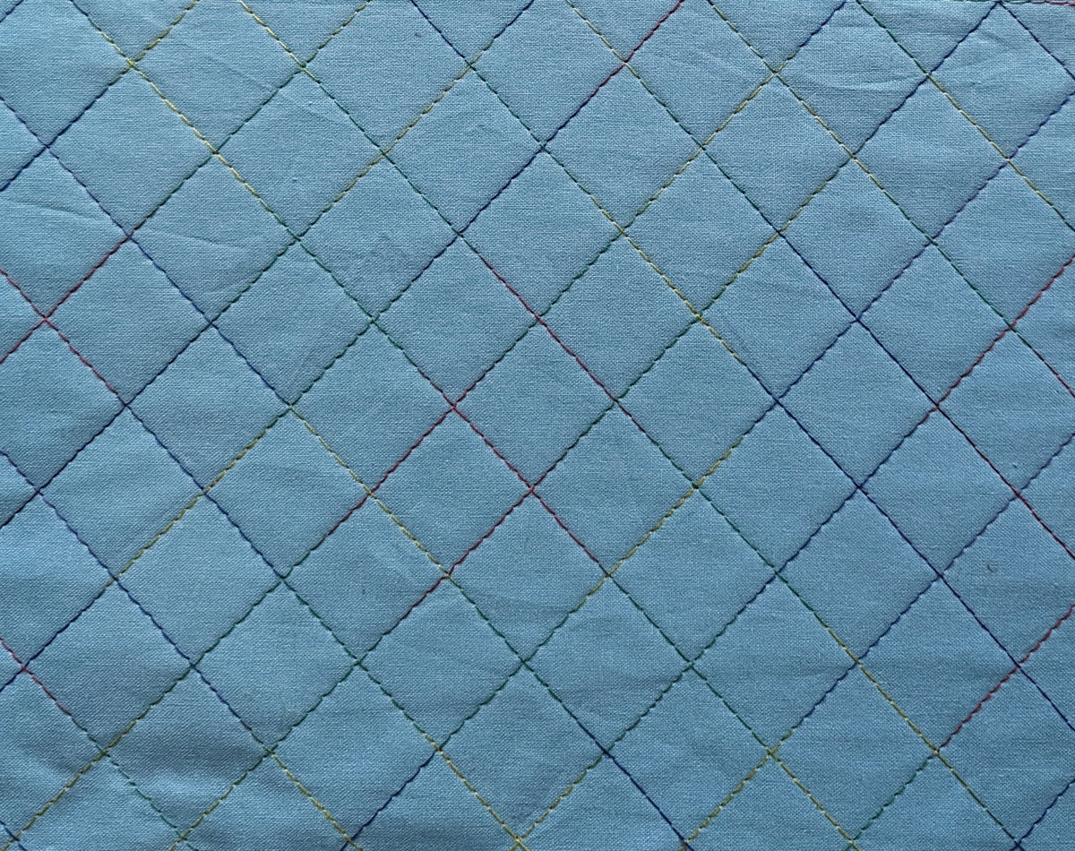 From Basic to Brilliant: Free Motion Quilting for Beginners with Parrs ...