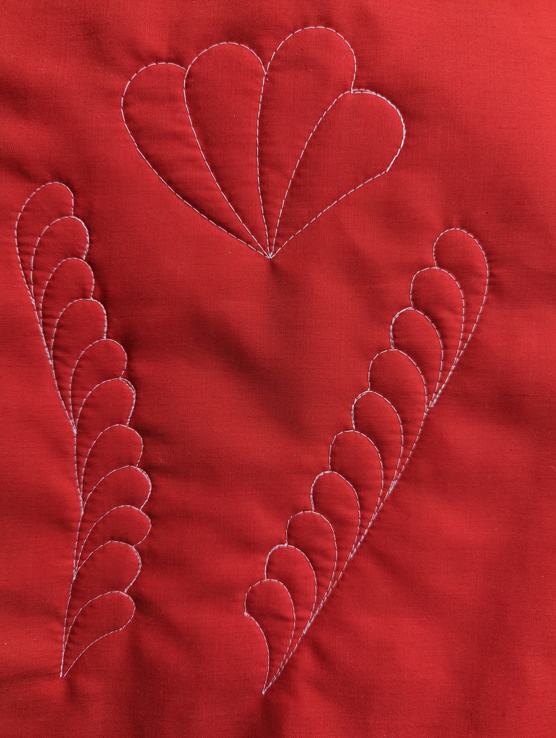Curling Ribbons Quilt Pattern Parrs Curve quilting pattern for curling feathers design – Parrs Free ...